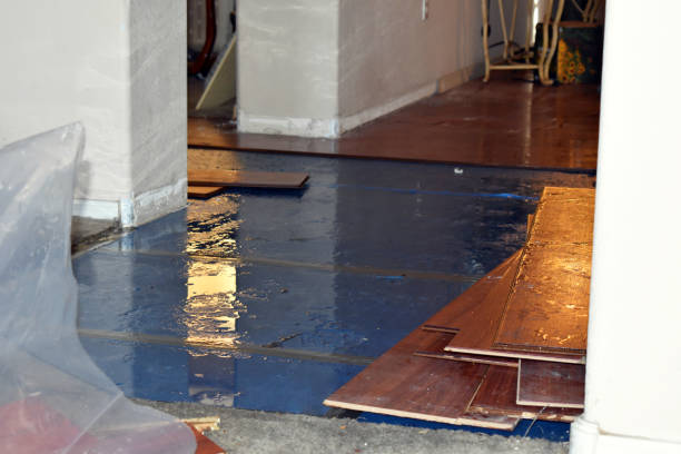 Professional Burst Pipe Cleanup technician working in Orangevale, CA